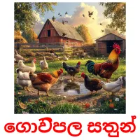 ගොවිපල සතුන් flashcards illustrate