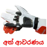 අත් ආවරණය Bildkarteikarten