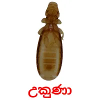 උකුණා ansichtkaarten