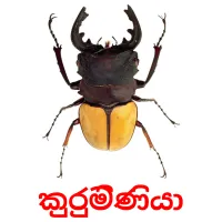 කුරුමිණියා ansichtkaarten