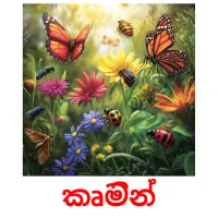 කෘමින් ansichtkaarten