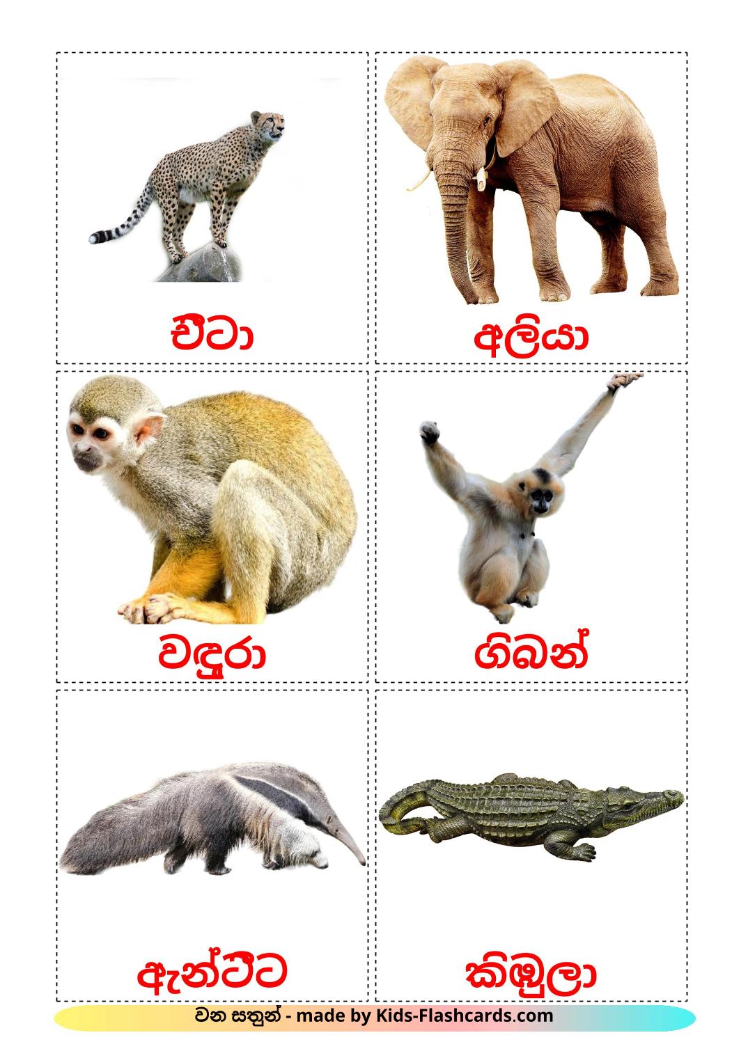 Animali della giungla - 21 flashcards singalese stampabili gratuitamente