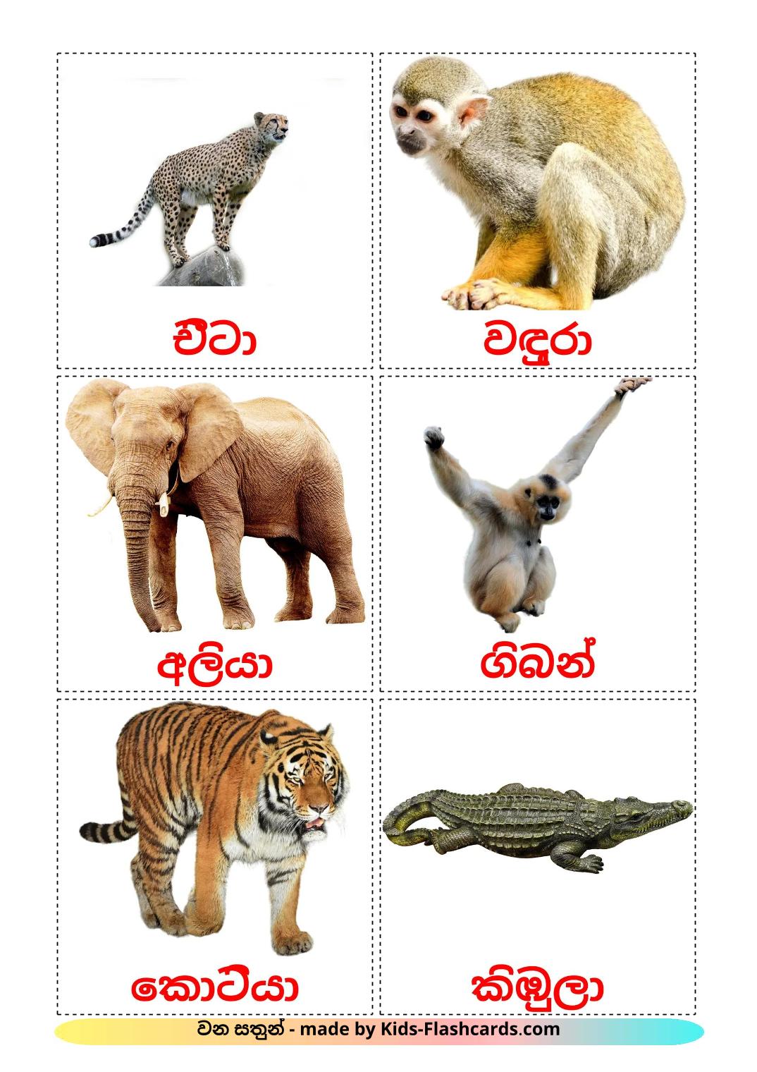 Jungle animals - 22 Free Printable sinhala Flashcards 