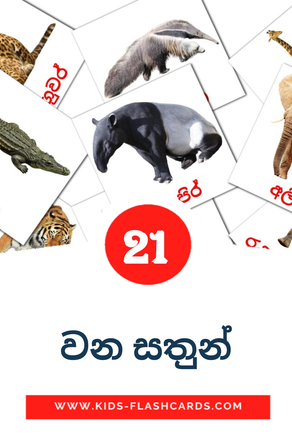 21 tarjetas didacticas de වන සතුන් para el jardín de infancia en sinhala
