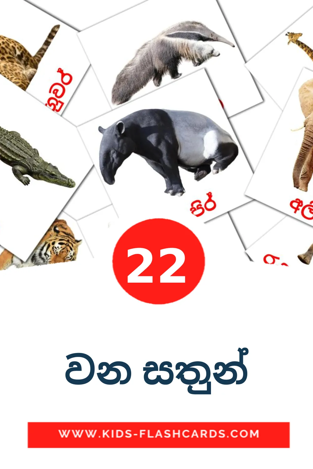 22 වන සතුන් Picture Cards for Kindergarden in sinhala