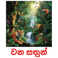 වන සතුන් picture flashcards