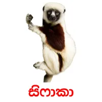 සිෆාකා picture flashcards