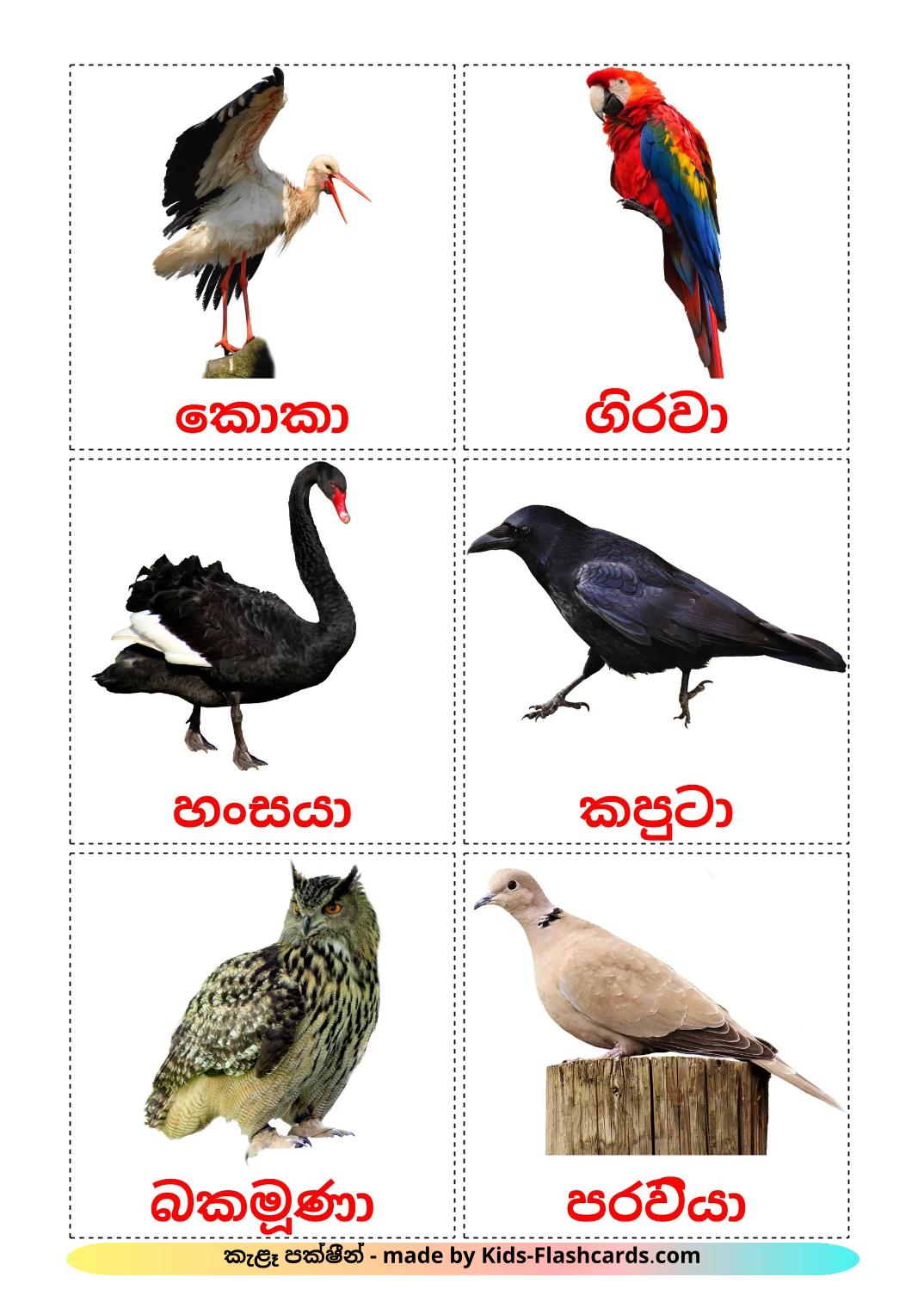 Vilde Fugle - 19 kostenlose, druckbare sinhala Bildkarten 