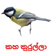 කහ කුරුල්ලා Bildkarten für Kinder