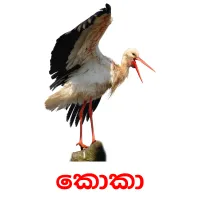 කොකා Bildkarten für Kinder