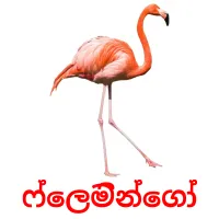 ෆ්ලෙමින්ගෝ Bildkarten für Kinder