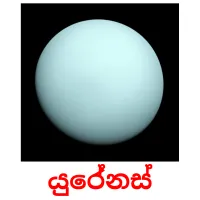 යුරේනස් picture flashcards
