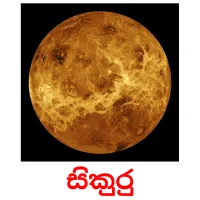 සිකුරු picture flashcards
