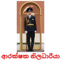 ආරක්ෂක නිලධාරියා Bildkarteikarten