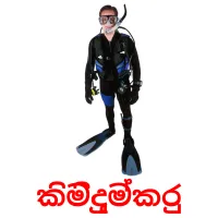 කිමිදුම්කරු Bildkarteikarten