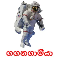 ගගනගාමියා Bildkarteikarten