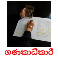 ගණකාධිකාරී Bildkarteikarten