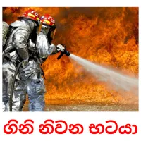 ගිනි නිවන භටයා Bildkarteikarten