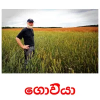 ගොවියා Bildkarteikarten