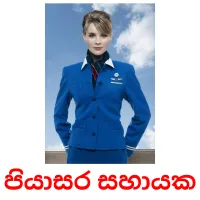 පියාසර සහායක Bildkarteikarten