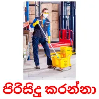 පිරිසිදු කරන්නා Bildkarteikarten