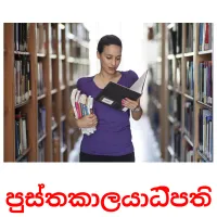 පුස්තකාලයාධිපති Bildkarteikarten