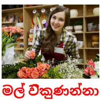 මල් විකුණන්නා Bildkarteikarten