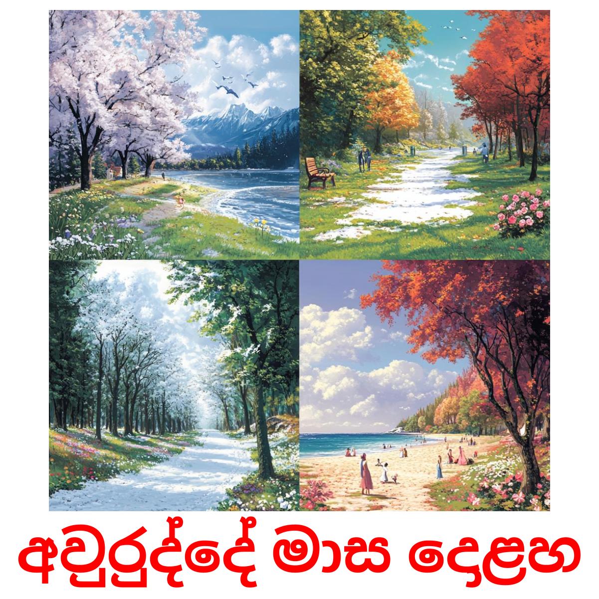 අවුරුද්දේ මාස දොළහ picture flashcards