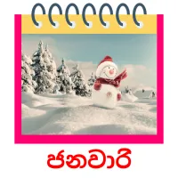 ජනවාරි ansichtkaarten