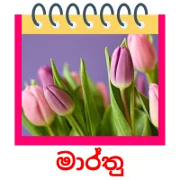 මාර්තු ansichtkaarten