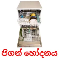 පිගන් හෝදනය flashcards illustrate