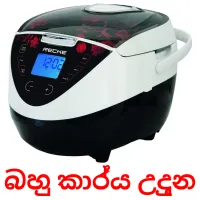 බහු කාර්‍ය උදුන flashcards illustrate