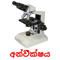 අන්වීක්ෂය Tarjetas didacticas