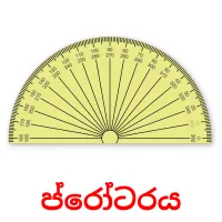 ප්රෝටරය Tarjetas didacticas