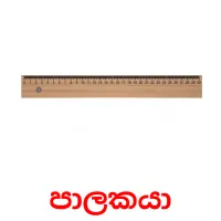 පාලකයා Tarjetas didacticas