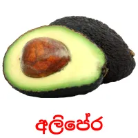 අලිපේර picture flashcards