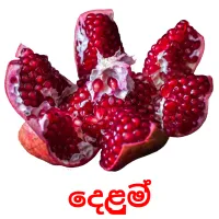 දෙළුම් picture flashcards