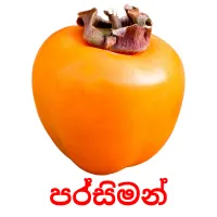 පර්සිමන් picture flashcards