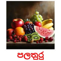 පලතුරු picture flashcards