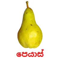 පෙයාස් picture flashcards