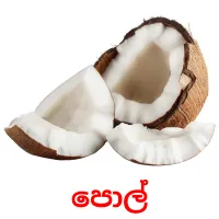 පොල් picture flashcards