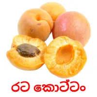 රට කොට්ටං picture flashcards