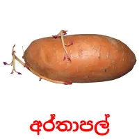 අර්තාපල් ansichtkaarten