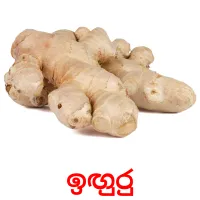 ඉඟුරු Bildkarteikarten