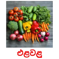 එළවළු Bildkarteikarten