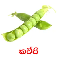 කව්පි ansichtkaarten