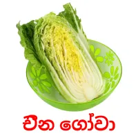 චීන ගෝවා ansichtkaarten