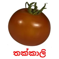 තක්කාලි ansichtkaarten