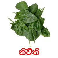 නිවිති Bildkarteikarten