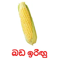 බඩ ඉරිඟු ansichtkaarten